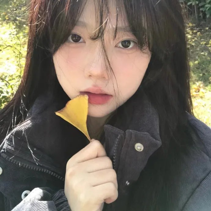 凤姐